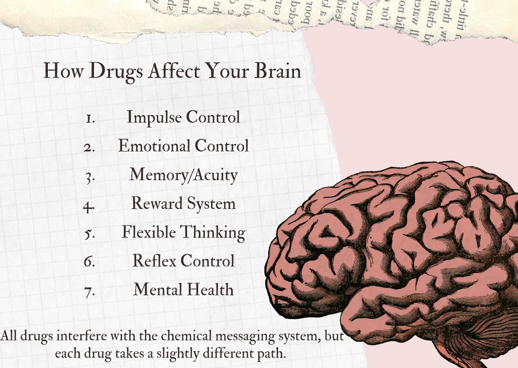 facts about your brain on drugs