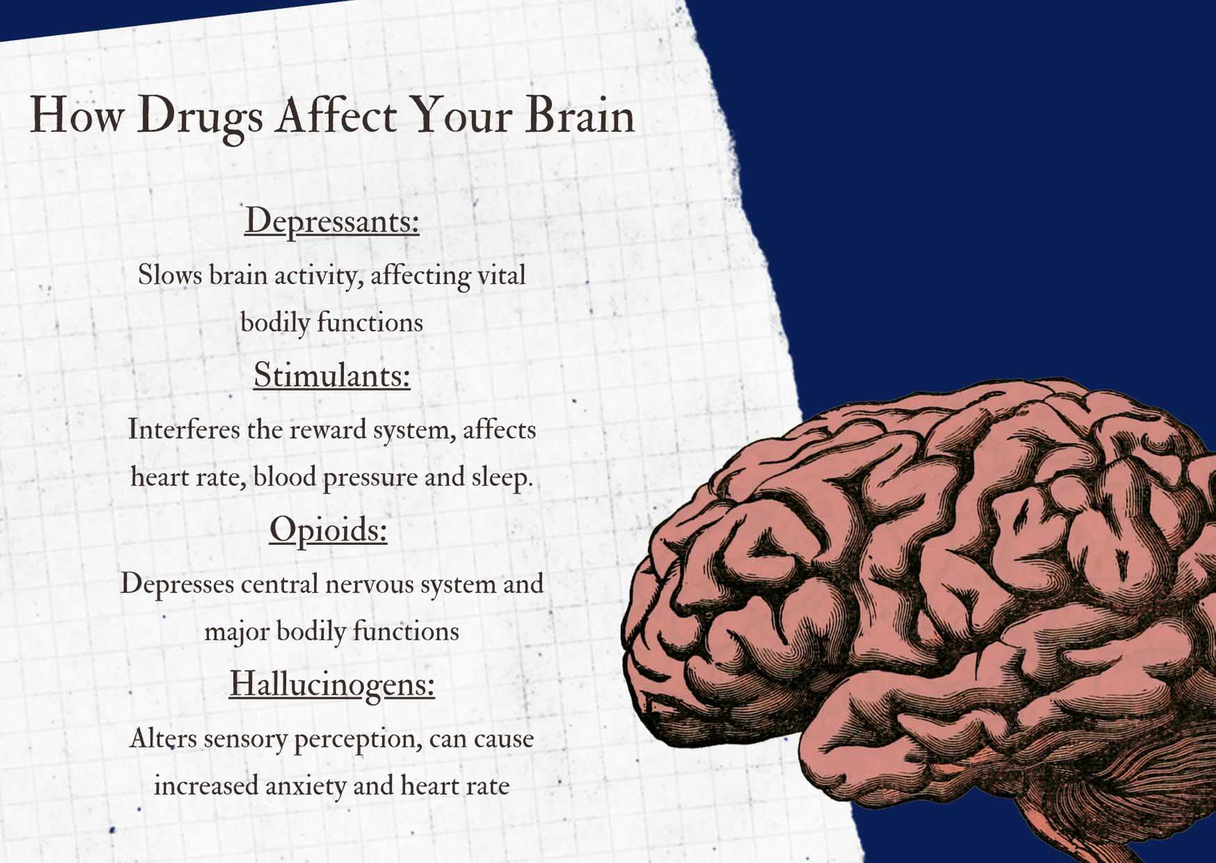 how drugs affect your brain