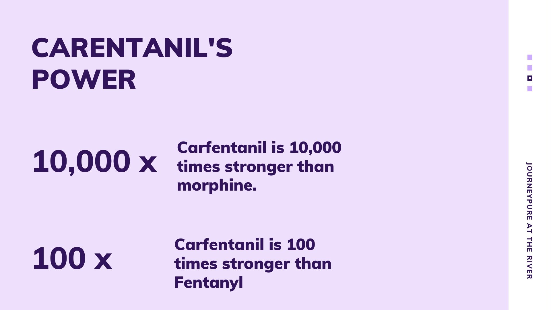 carfentanil is 10,000 times stronger than morphine