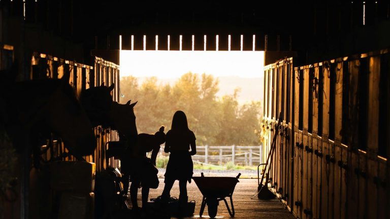 Equine therapy, also known as horse therapy or equine-assisted therapy, is a powerful experiential treatment that can help individuals struggling with addiction find healing and recovery