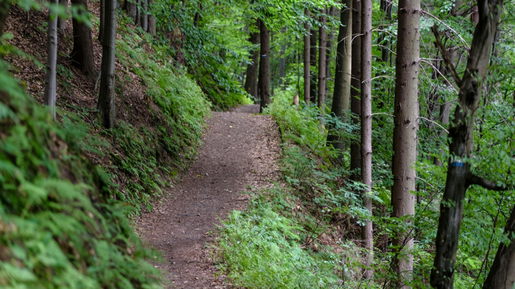 Hiking can be a social activity that helps build a sober community