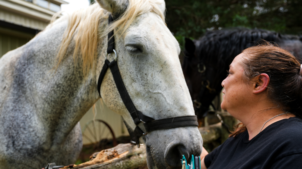 Clients participate in weekly equine therapy sessions on the property with certified facilitators
