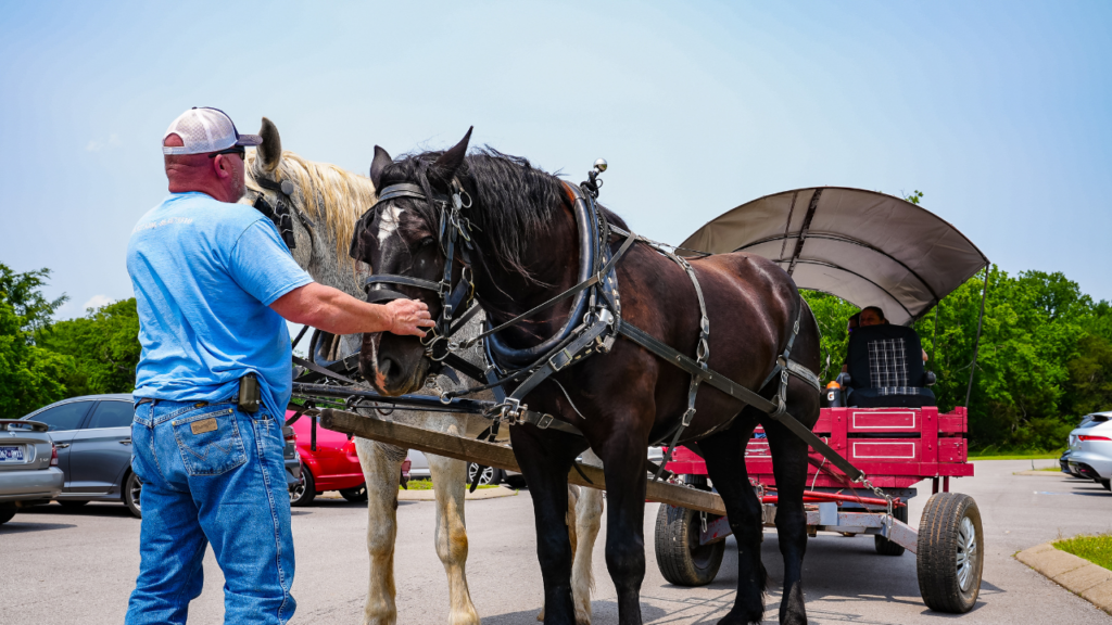 Getting the therapy horses ready for a ride around JourneyPure At The River's campus