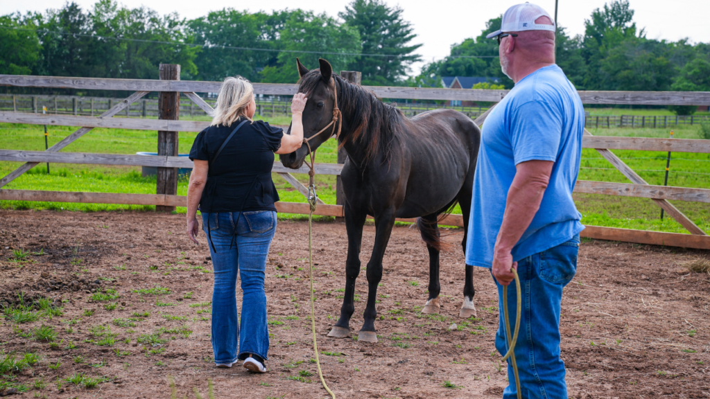 Jon Levi demonstrating how equine therapy works in the ring